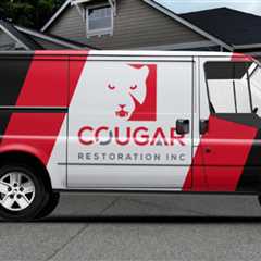 Standard post published to Cougar Restoration at November 13, 2023 19:00