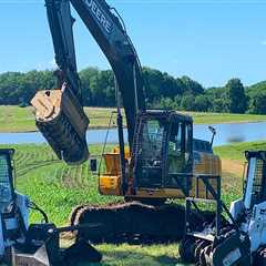 Maximizing Space: The Crucial Role Of Tree Removal Services In Land Clearing Across Groveland
