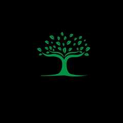 TreeCareHQ Lynn Reviews | Top Rated Local®