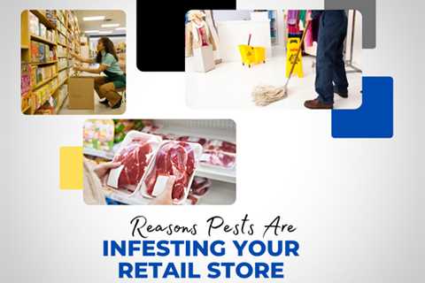 Haldimand-Norfolk Pest Control: 5 Reasons Pests Are Infesting Your Retail Store
