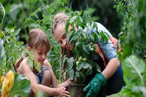 How do you control pests in your vegetable garden naturally?