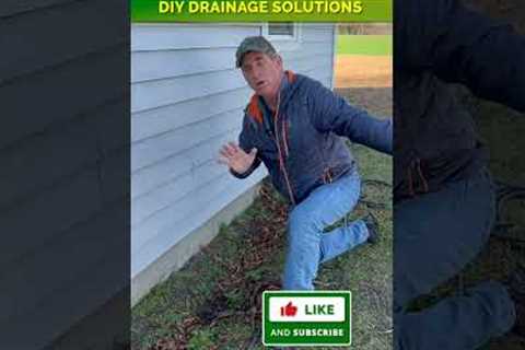 Pro Tip | Drainage Solutions You Can DIY in Your Landscape