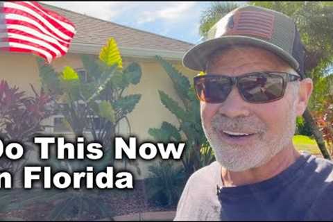 Florida Lawn Care Tips - NOVEMBER 2023 // Weekend Lawn Work Vlog