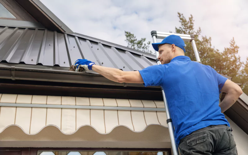 Gutter Cleaning Somerset, Florida