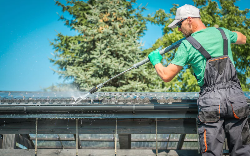 Gutter Cleaning Elizabeth, Florida