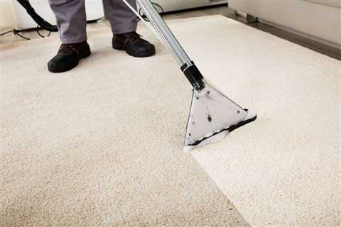 Enjoy a Clean Environment With Professional Carpet Cleaners - City Cat Auto