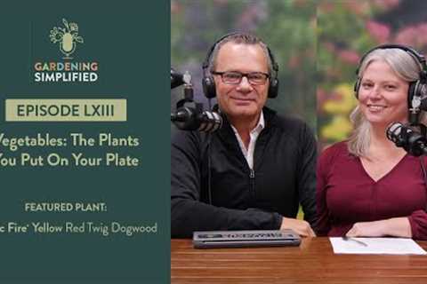 Vegetables: The Plants You Put On Your Plate | 63