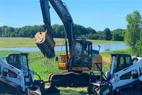 Maximizing Space: The Crucial Role Of Tree Removal Services In Land Clearing Across Groveland