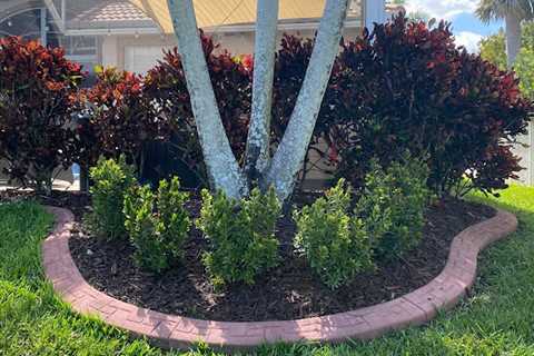 EPS Landscaping & Tree Service LLC