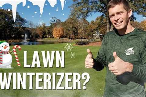 Should You Winterize Your Lawn? - Winter Lawn Care Tips