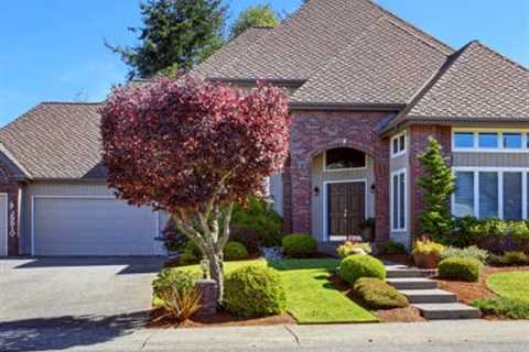 Maximizing Curb Appeal: Essential Landscape Maintenance Tips