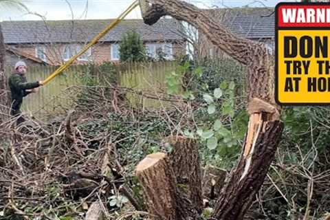 We Got NO Permission To Cut Down The NEIGHBOURS Overgrown Yard That Overflowed But We Did Anyway