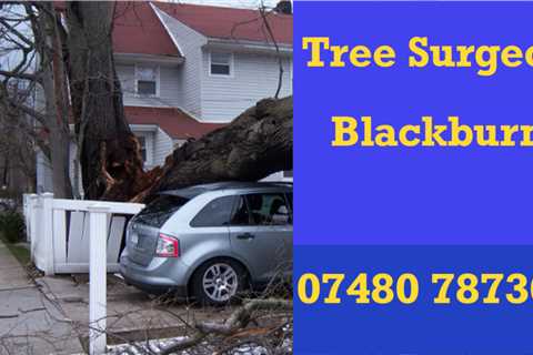 Tree Surgeon Location