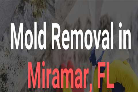 Mold Remediation Hotline Miramar FL