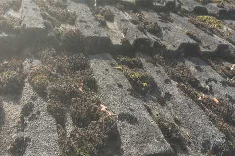 Roof Cleaning Halesowen