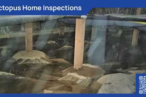 Standard post published to Octopus Home Inspections, LLC at December 28, 2023 20:00