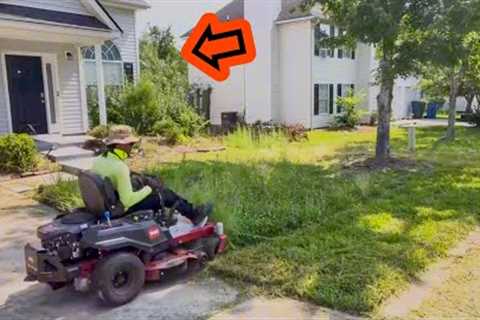Deceased Homeowner Lawn Became Neighbors Nightmare