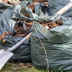 Local Waste Removal Stoke Gifford