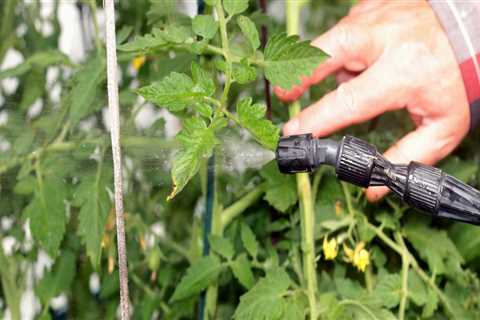 Is organic pest control safe?