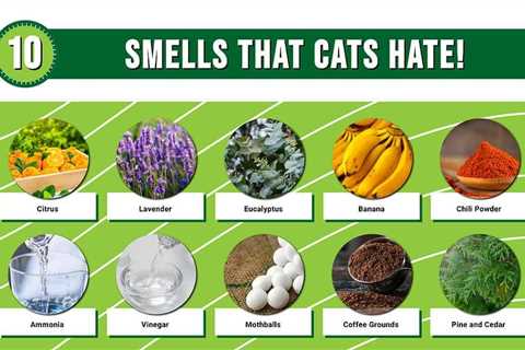 What Smell Do Most Animals Hate?