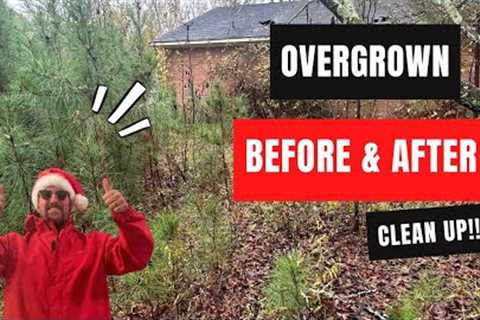 Community Cleanup Champion: Transforming an overgrown yard into a Safe and Welcoming Space!