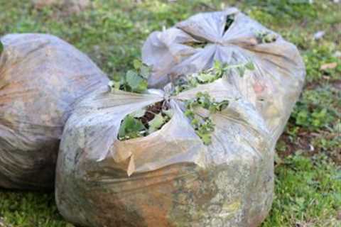 Local Waste Removal Southmead