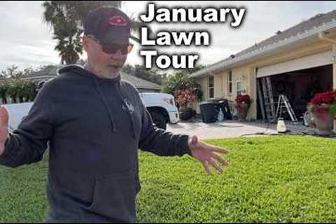 ProVista Weed Control and Fert // January Lawn Tour - All Around My Yard