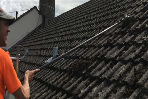 Roof Cleaning Spring Bank