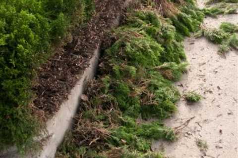 Local Waste Removal Wick