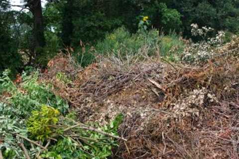 Local Waste Removal Willsbridge