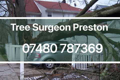 Tree Surgeon Brinscall