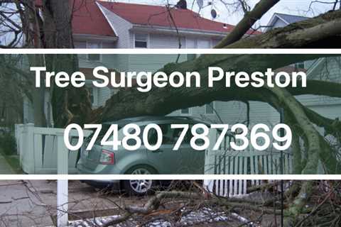 Tree Surgeon Mill Hill