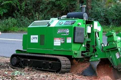 Tree Surgeon Chorley