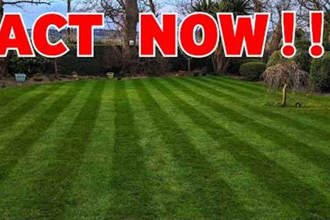 If you want a good lawn this spring do this NOW