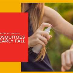Hamilton Pest Control: How To Avoid Mosquitoes in Early Fall
