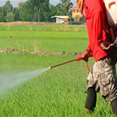 What is the basic first aid for pesticide exposure?