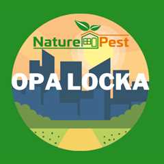 Opa Locka Pest Control | NaturePest Holistic Local Pest Control