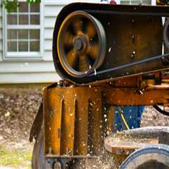 Enhance Your Curb Appeal: Tree Stump Grinding For Your Front Yard Landscape In Groveland