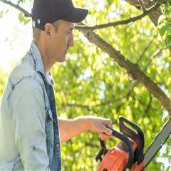 Sculpting Nature: The Importance Of Tree Pruning And Trimming For Landscape Architects In Groveland,..