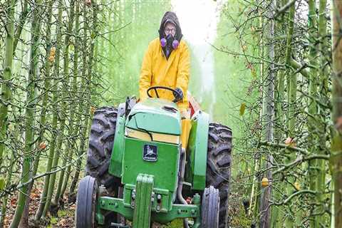 How long after spraying pesticides is it safe?