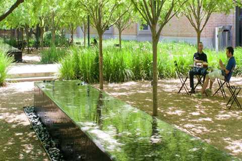 Exploring Landscape Projects in Harris County, Texas