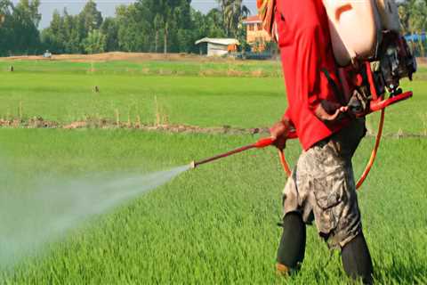 What is the basic first aid for pesticide exposure?