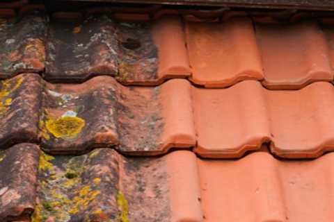 Roof Cleaning Weston