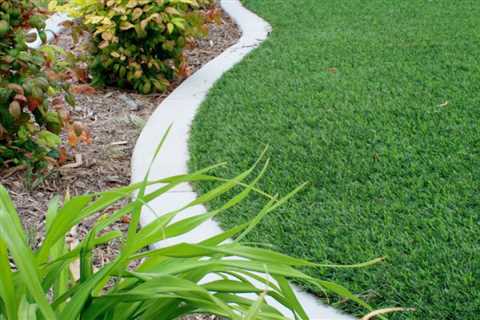 Artificial Grass Central Coast: The Ultimate Choice for Commercial Properties