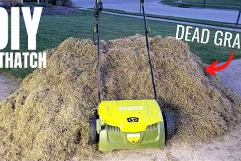 DIY Dethatching & Overseed the Lawn | Sun Joe Dethatcher & Scarifier | Spring Lawn Care