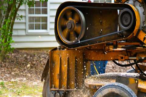 Enhance Your Curb Appeal: Tree Stump Grinding For Your Front Yard Landscape In Groveland