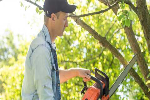Sculpting Nature: The Importance Of Tree Pruning And Trimming For Landscape Architects In Groveland,..