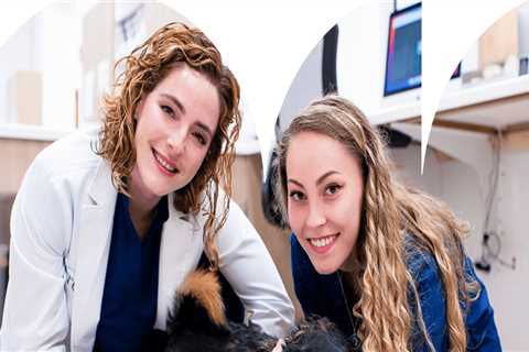 Expert Veterinary Care in Augusta, GA: Where Your Pets are Family