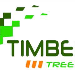 Timberjak Tree Service Introduction