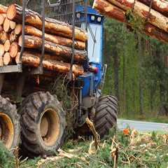 Exploring the Different Types of Delimbers in Forestry Equipment